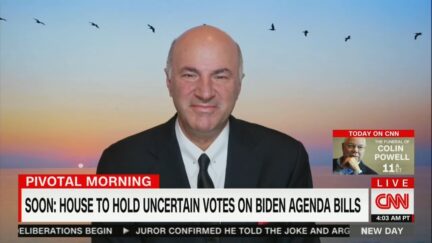Kevin O'Leary on CNN New Day
