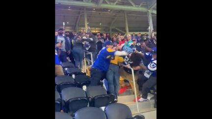 Rams fan knocks out two people in brutal crowd fight