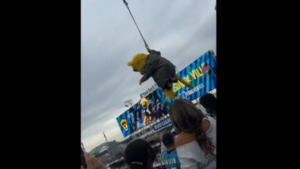 Jaguars mascot's bungee jump goes wrong
