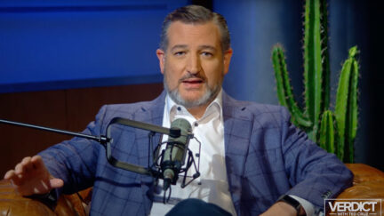 Ted Cruz Defends Attacking a Muppet