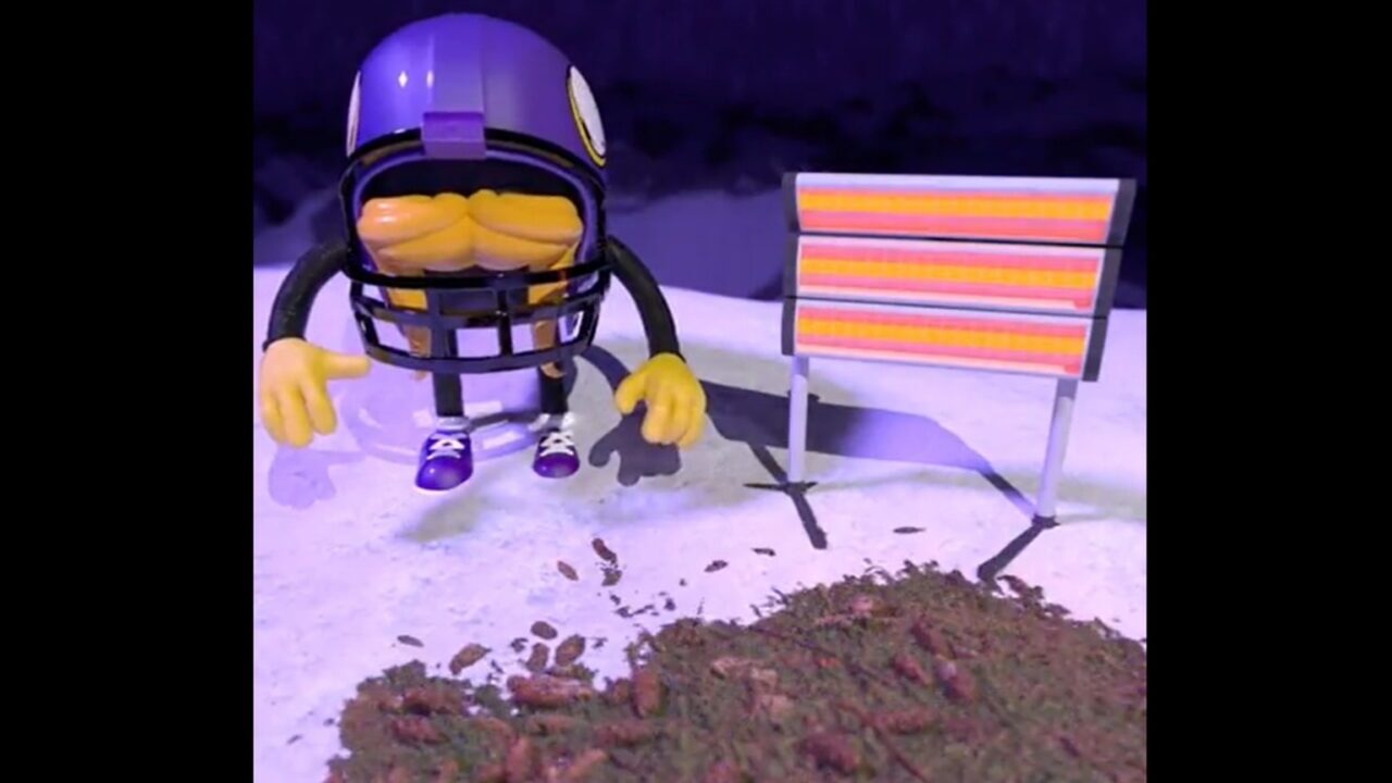 NFL Fans Baffled by Minnesota Vikings Bizarre Hype Video