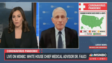 Anthony Fauci Says Easing Covid Restrictions Not Political