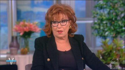 Joy Behar on The View