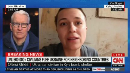 Olena Gnes CNN Interview