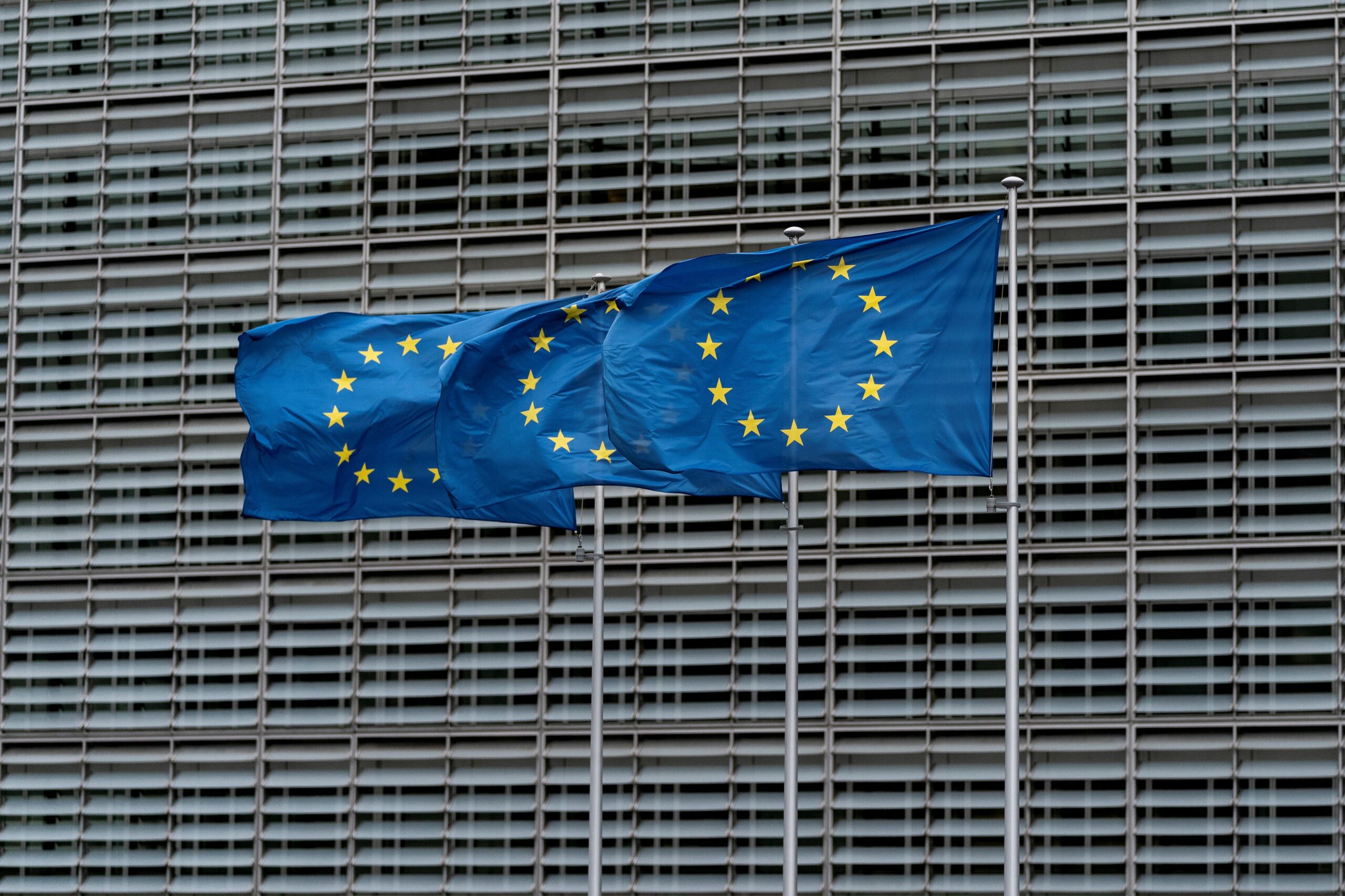 EU flags