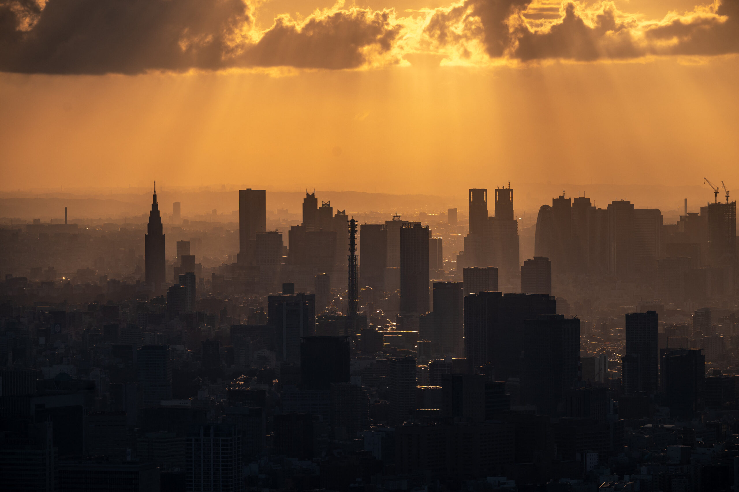 Tokyo skyline