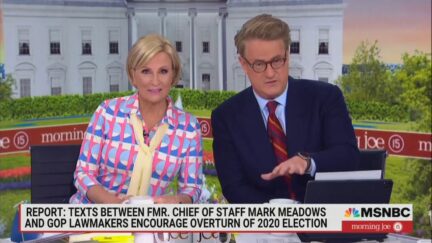 Joe Scarborough Blasts Chip Roy After Text Reveals He 'Hates American Democracy'