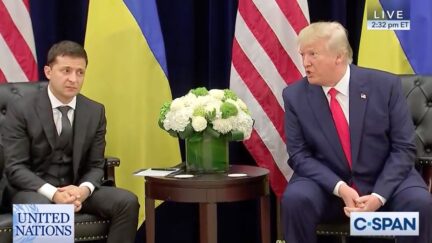 Zelensky Reaction to Trump Saying He Should Work Things Out with Putin