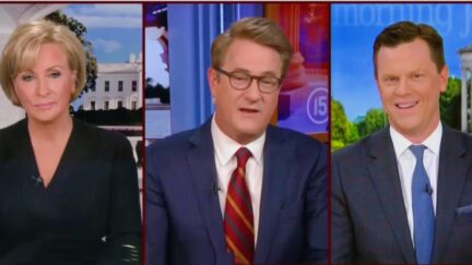 Morning Joe Rips Into 'Bloated and Sweating' Trump Over DeSantis Poll