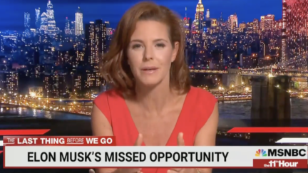 Stephanie Ruhle Calls 'Inspiring' Elon Musk a 'Bully'