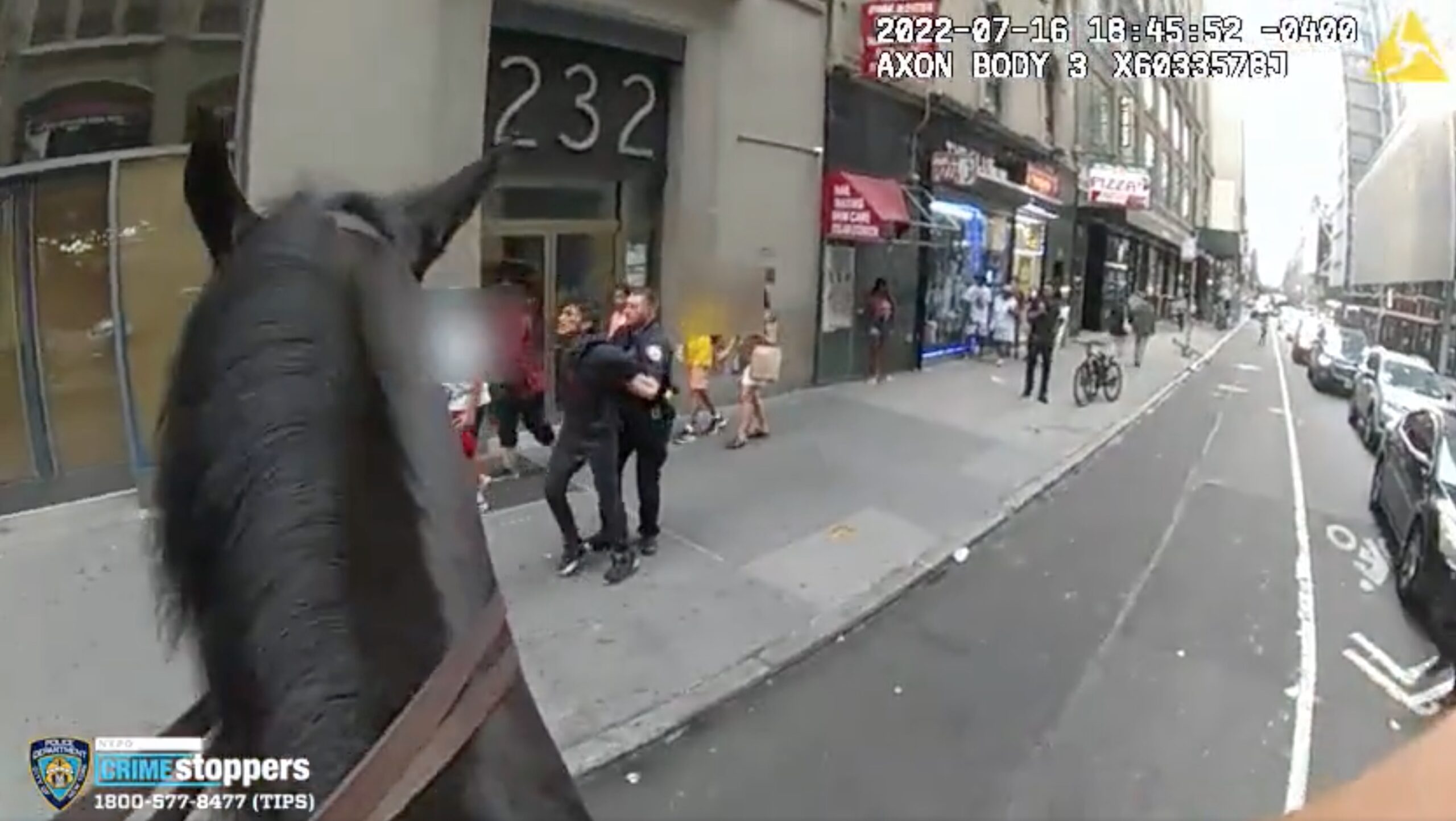 NYPD Mounted Unit