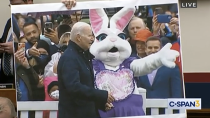 Rep. Troy Nehls used the Easter Bunny, among other exhibits, as he grilled Pete Buttigieg on President Joe Biden's mental fitness Tuesday.