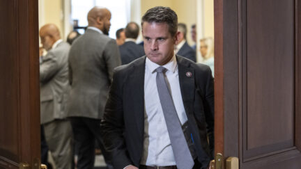 Adam Kinzinger Joins Republicans Mocking Kamala Harris for Using Pronouns