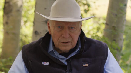 Dick Cheney Attacks Trump in Liz Cheney Campaign Video