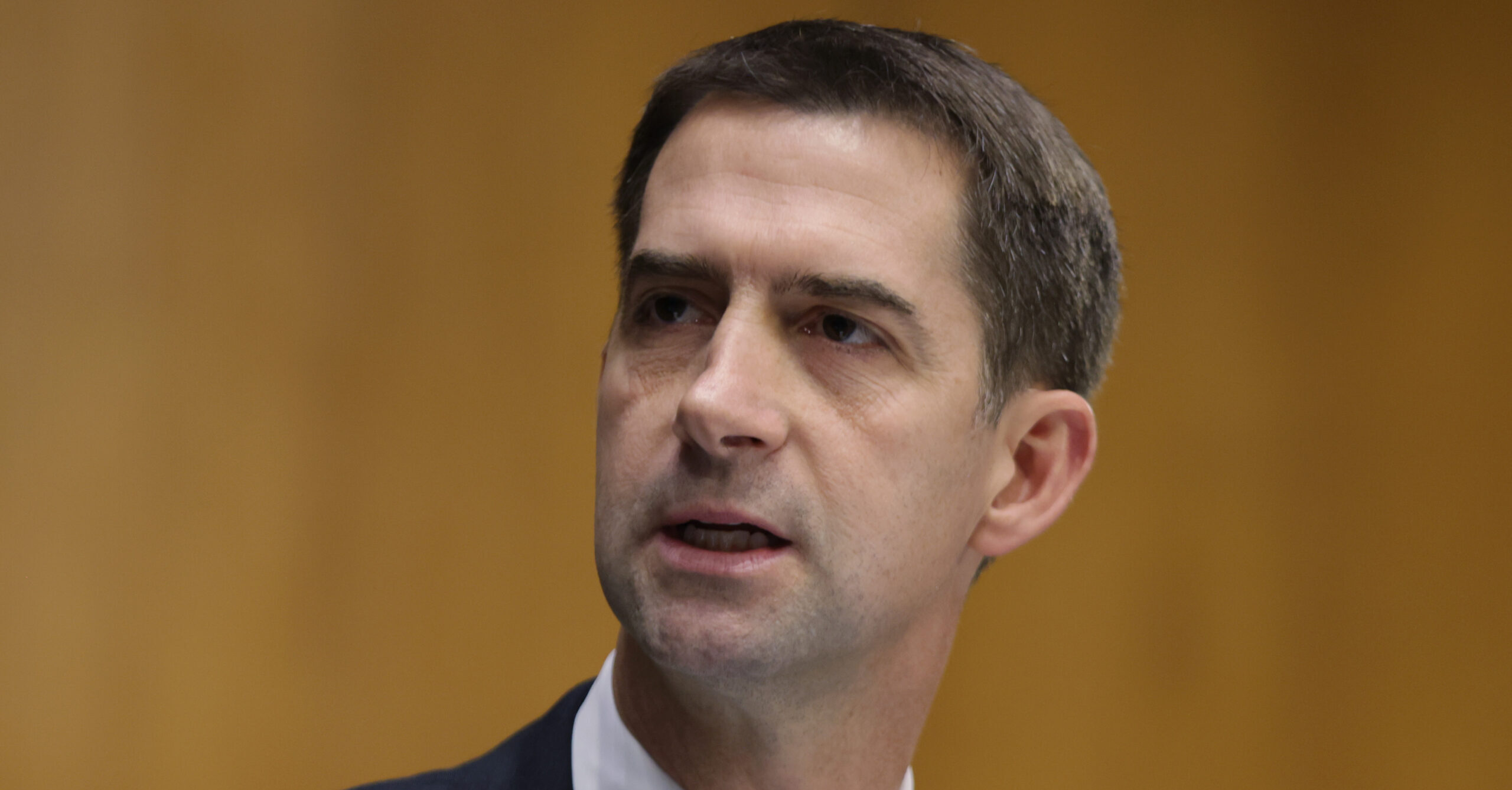 ‘A Scam to Rig Elections’: Tom Cotton Attacks Ranked-Choice Voting After Sarah Palin Loses to a Democrat