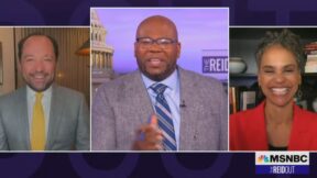 Maya Wiley's cat interrupts MSNBC segment