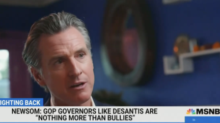Gavin Newsom Complains to MSNBC the Left Has 'Nothing Comparable' to 'Propaganda' Conservative Networks