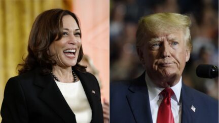 Biden Beats Trump By 4 In New Survey - But VP Kamala Harris Beats Him By 15 POINTS Getty split