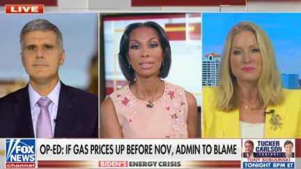 Harris Faulkner Clashes With Guest On Biden and Gas Prices
