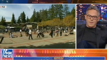 Greg Gutfeld Blasts Colleges As 'Gun Free' and 'Brain Free Zones'