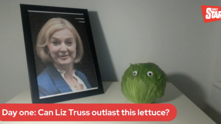 UK Newspaper Sets Up Livestream To See Which Lasts Longer: Liz Truss As Prime Minister Or Googly-Eyed Lettuce