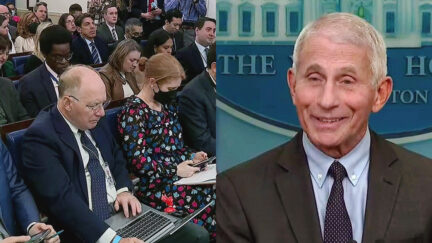 White House Reporters Burst Out Laughing at Fauci Burn