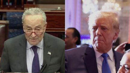 'Pure Evil!' Watch Chuck Schumer Torch Trump on Senate Floor Over White Supremacist Dinner Date Getty split image