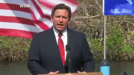 Ron DeSantis Says to Chill Out