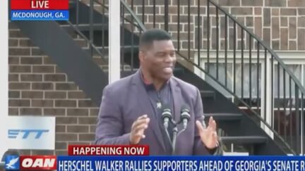 Uh, What? Herschel Walker Veers Off Course to Give a Speech About Werewolves and Vampires (mediaite.com)