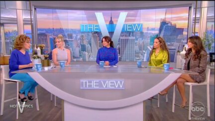 'The View'