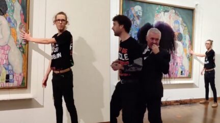 WATCH: Climate Protesters Attack Another Classic Painting