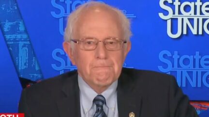 Bernie Sanders