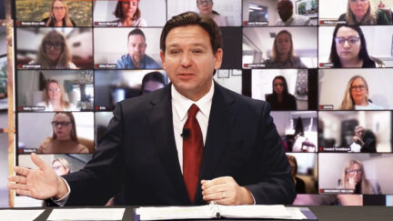 Florida Gov. Ron DeSantis