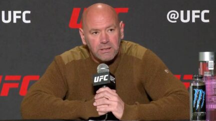 Dana White