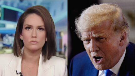 Trump Launches Sexist Attack On Fox News Host Jessica Tarlov in Random Late-Night 'REVIEW' of 'The Five'