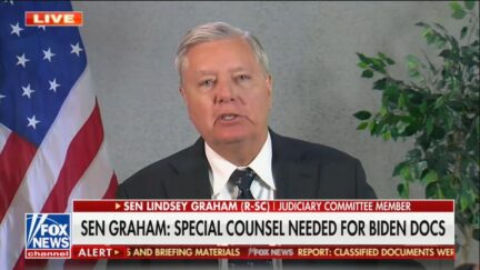 Lindsey Graham