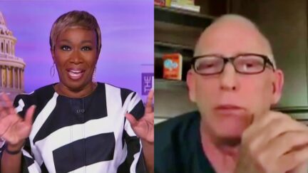 MSNBC's Joy Reid Goes OFF On Dilbert Creator Over Racist Rant 'How Will Black Folk Ever Survive Without You'