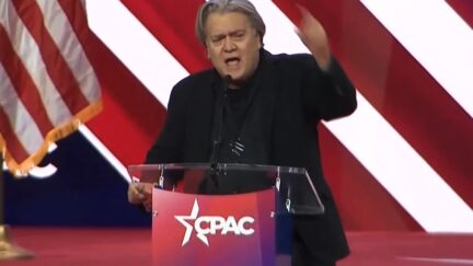 Steve Bannon at CPAC