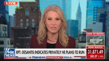 Kellyanne Conway dings Trump