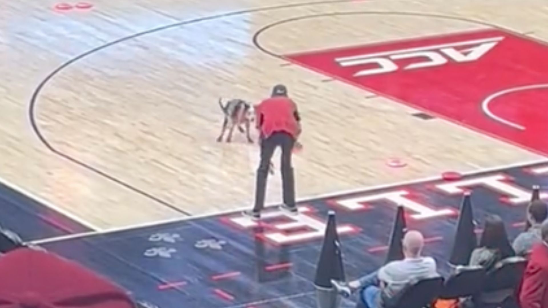 Dog Takes a Poop On The Court At Louisville Halftime