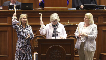 South Carolina Sens. Sandy Senn, R-Charleston, left, Katrina Shealy, R-Lexington, center, and Penry Gustafson, R-Camden, right, show off model spines they were sent by groups who want to outlaw almost all abortions. The senators say the spines won't change their mind when the issue is debated next week