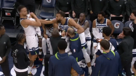 Rudy Gobert punches Kyle Anderson