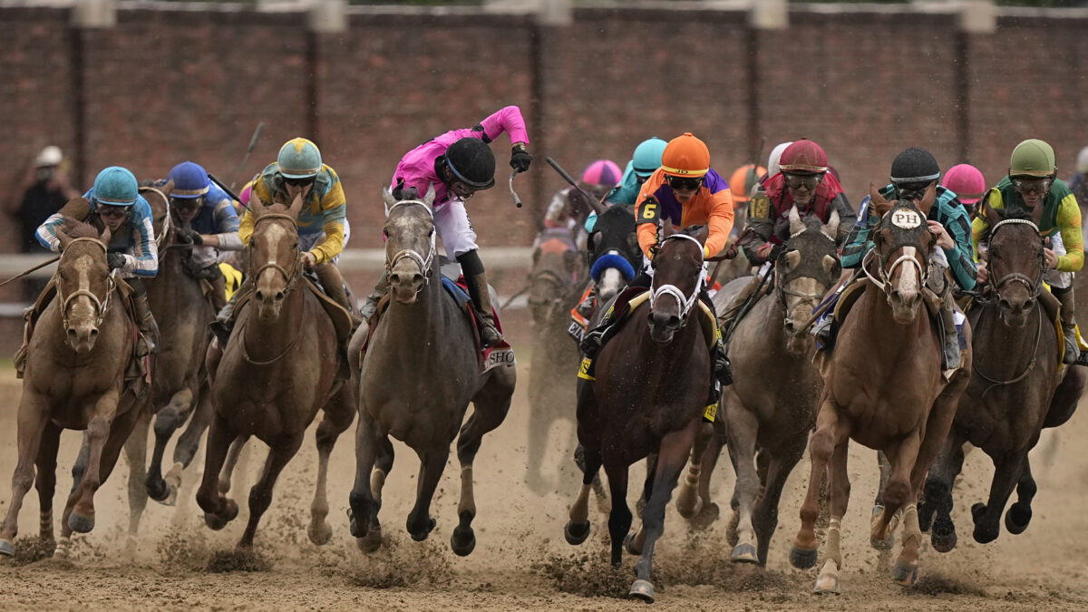 Kentucky Derby 2025 Horses Died