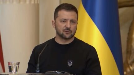 Zelensky