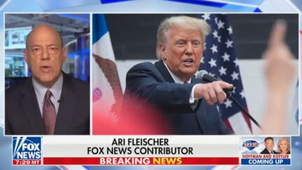 Ari Fleischer on Fox News