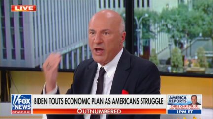 Kevin O'Leary on Fox