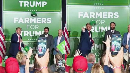 Maggie Haberman Source Busts 'Farmers For Trump' Hats That Were NOT Made In USA split image