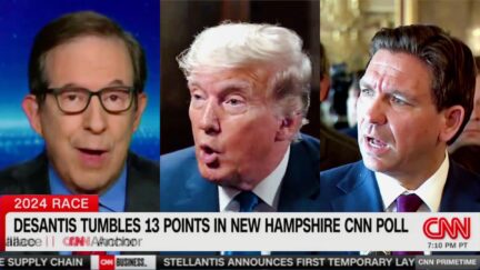 Chris Wallace Says New CNN Early State Poll 'Good News For Trump' — But 'DeSantis Is in Real Trouble'