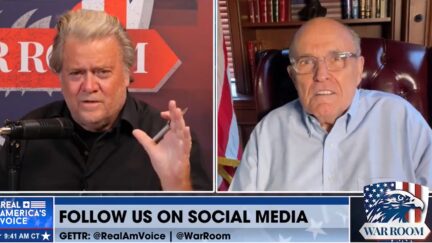 Steve Bannon