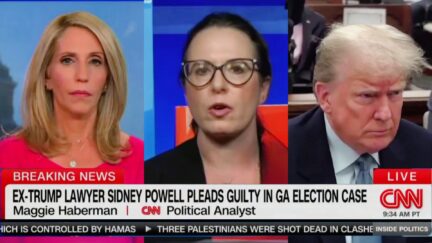 Maggie Haberman Says Trump World Caught Off Guard By Powell Plea